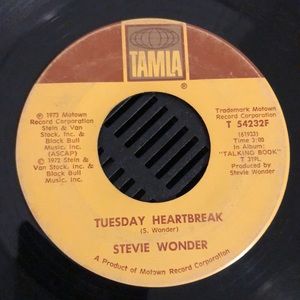 Stevie Wonder You Are The Sunshine Of My Life Vinyl 45 Record '73